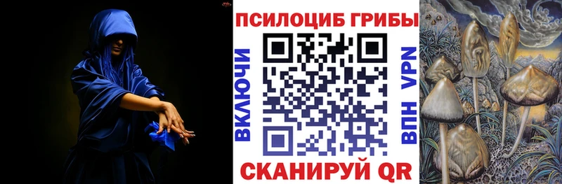 Псилоцибиновые грибы Psilocybine cubensis  купить наркотик  Дыгулыбгей 